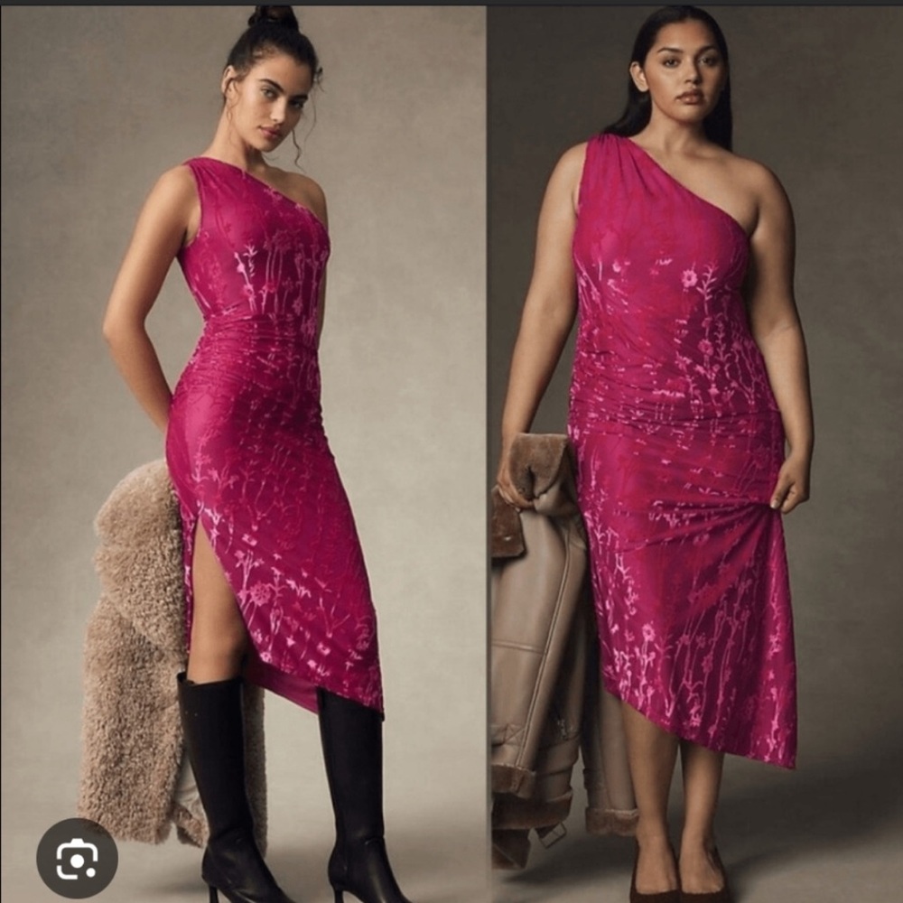 Anthropologie HUTCH Dress 3X Pink Midi One Shoulder Ruched Burnout
Velvet Party